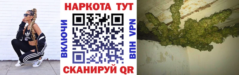 Где можно купить наркотики Гурьевск АМФЕТАМИН  A PVP  Конопля  Кокаин 