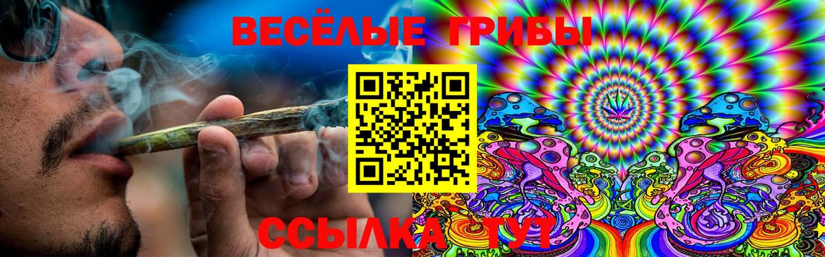 Псилоцибиновые грибы Psilocybe  Псилоцибиновые грибы мухоморы  хочу   Гурьевск  Вход с VPN 